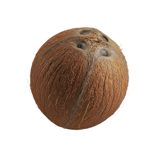 coconut.png