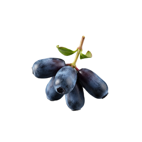 honeysuckle berry.png