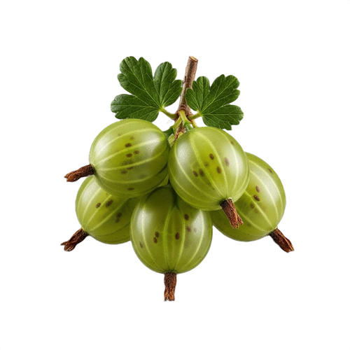 gooseberry.png