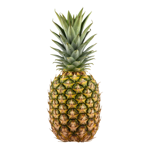 pineapple.png