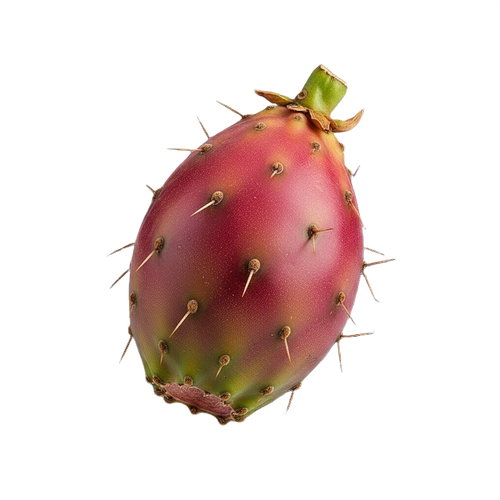 prickly pear.png