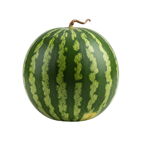 watermelon.png