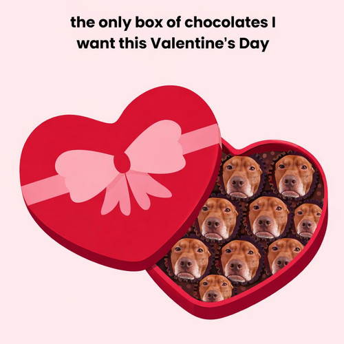 628341852 122167364930618299 4990001436778458323 n.jpg