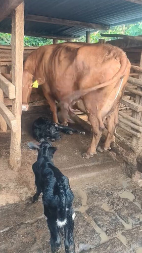 Al 1xKw6gSXfnTmh.jpg