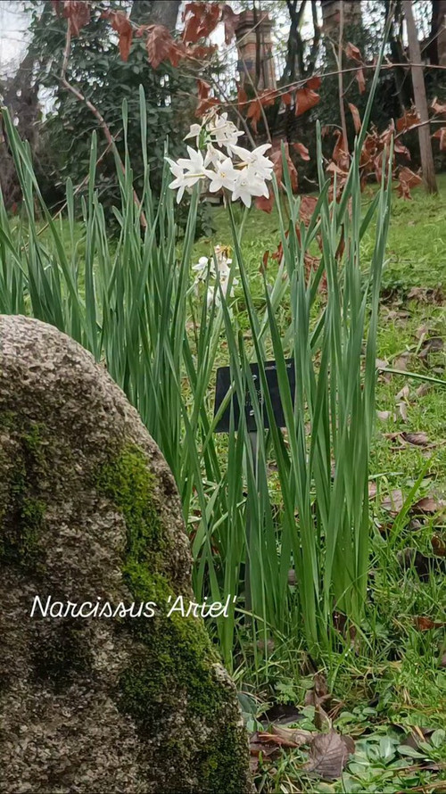 w4pX az1F75PtZ3x.jpg