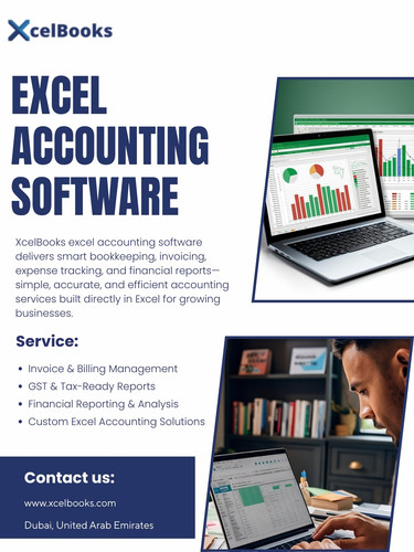 Excel Accounting Software.jpg