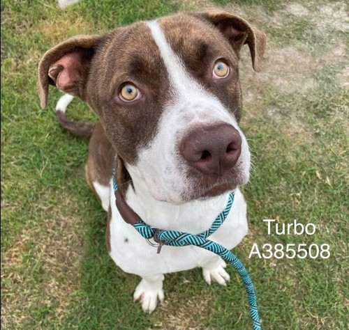 HAaB4 FXIAM4Lpc?format=jpg.jpg