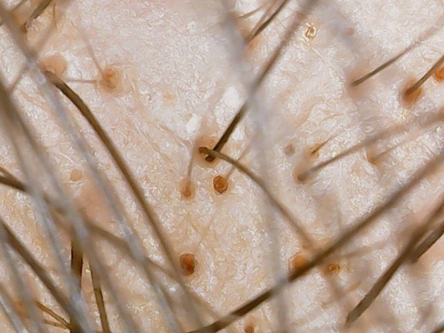 WIN 20260206 16 16 43 Pro