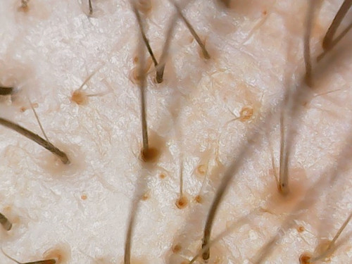 WIN 20260206 16 16 59 Pro