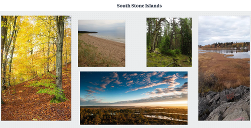 Screenshot 2026 02 03 020211.png