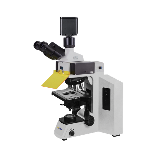 Fluorescence microscope LX1313FMS - Fluorescence Imaging.png