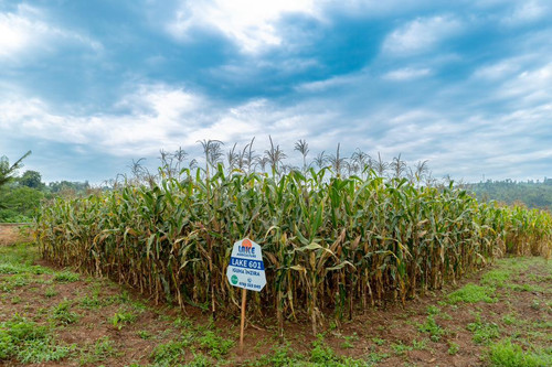 HAaebjTWMAAl5R ?format=jpg.jpg