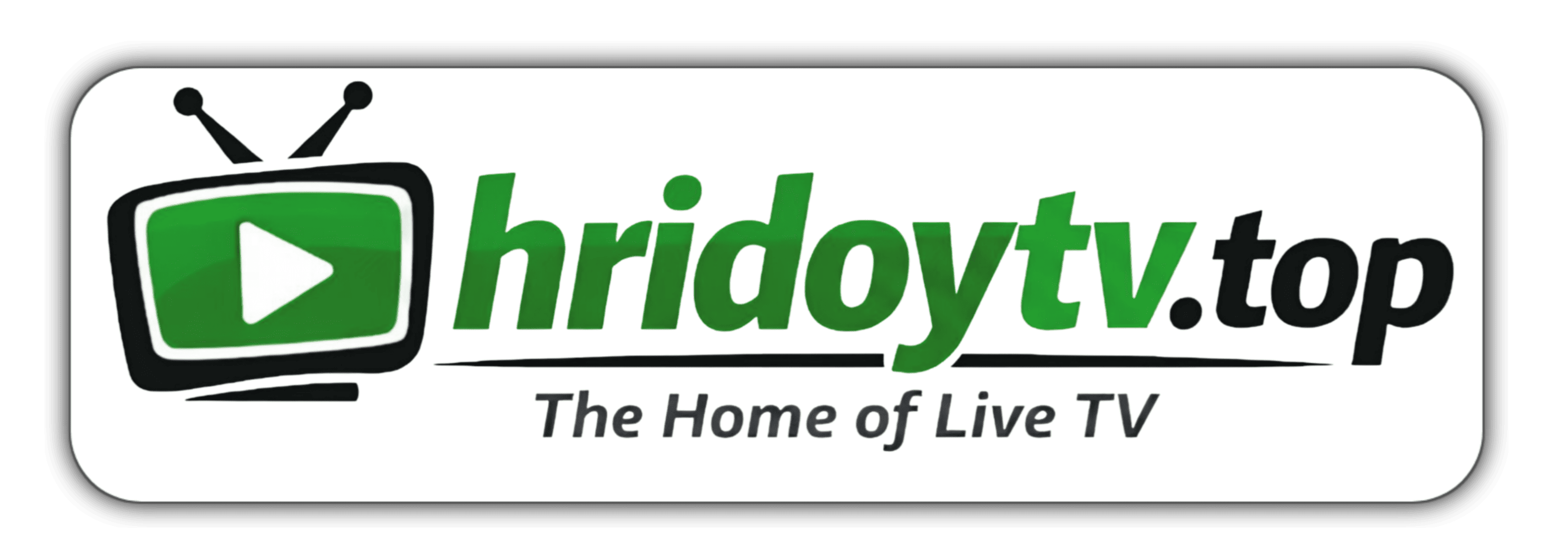 HridoyTV Logo