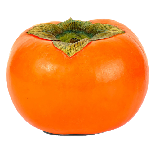 persimmon.png