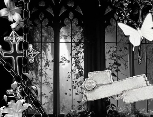 IMG 20260207 070404.jpg