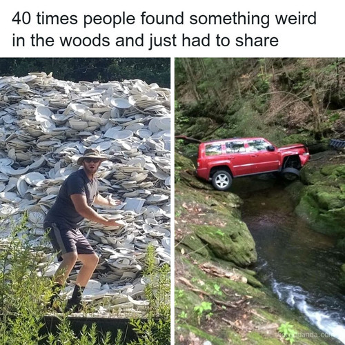 curiosities people (1).jpg