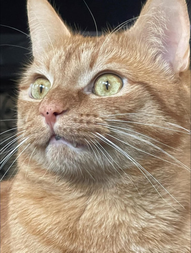 628173192 894876300181431 7410148472702777538 n.jpg