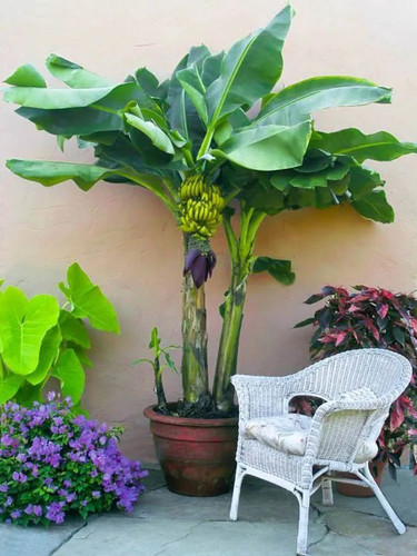 Slick Garden.jpg