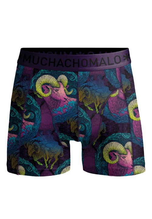 COTTONMODAL 1010 .jpg