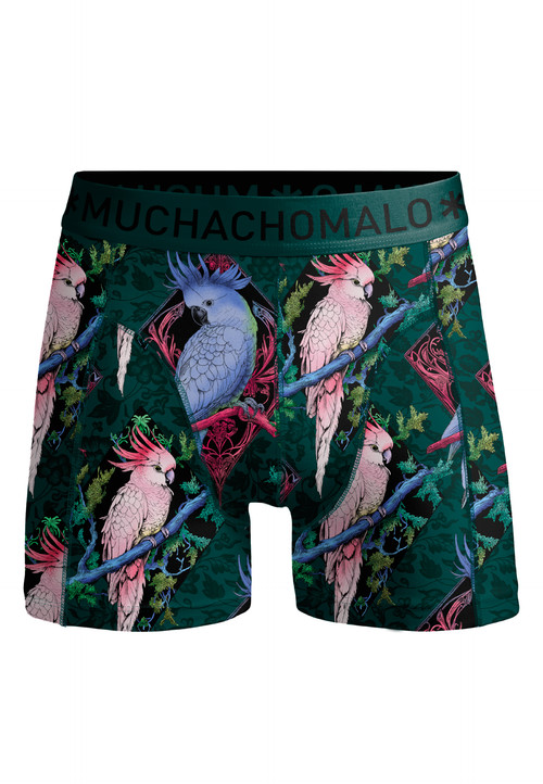 COTTONMODAL 1010 7.jpg