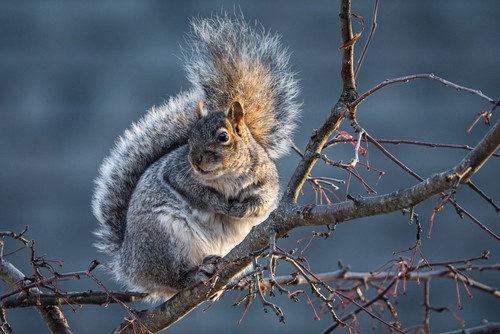 629321706 10231726830169057 3630372514011046960 n.jpg