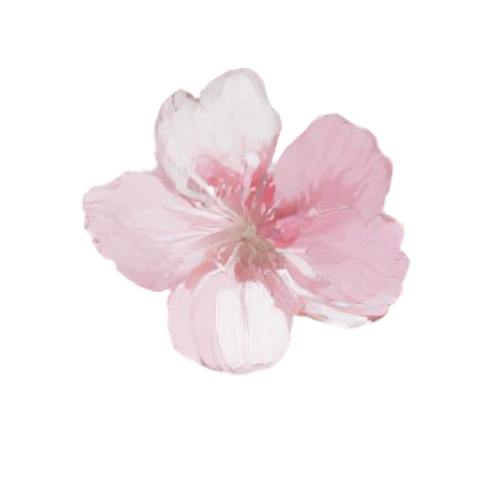 无标题18 20260207011629.png