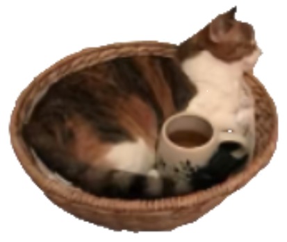猫猫镇楼.png
