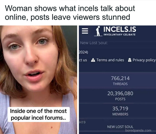 online hate incel forums.jpg