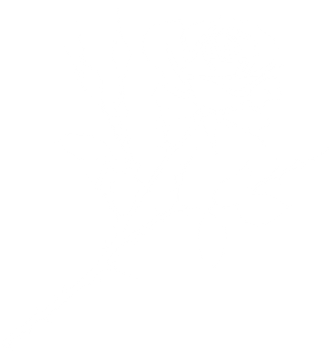 1770385649800.png
