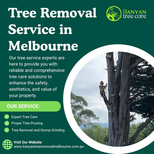 Looking for Tree Removal Service in Melbourne That’s Actually Reliable?.jpg