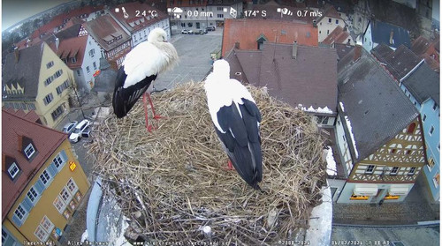 MWSnap507.jpg