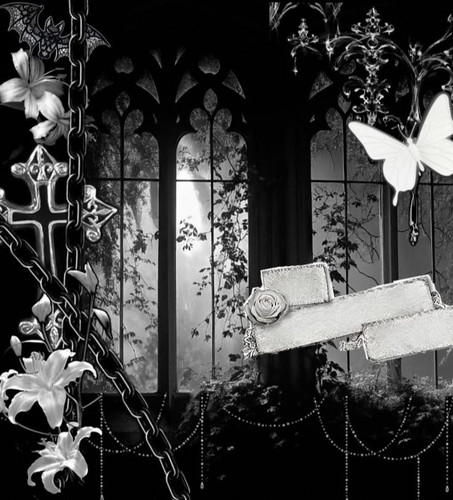 IMG 20260207 032024.jpg