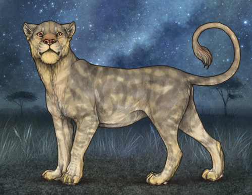 Screenshot 2026 02 06 at 9.21.57 AM.png