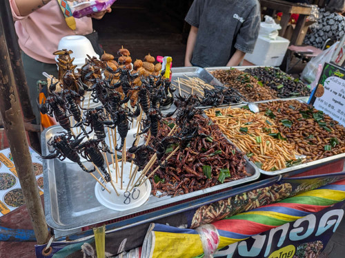 IMG 20260126 WA0019.jpg