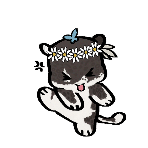 Untitled5 20260205205732.png