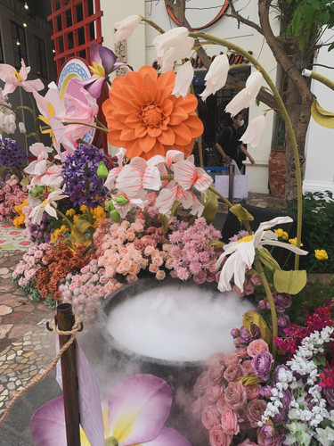 040EB062 42C8 4ED8 896E 645FAB26D28F.jpg