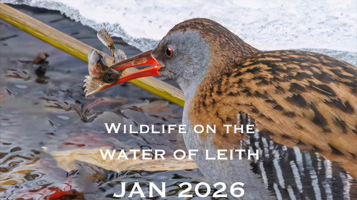 9 r4FXlYUwpFhkJP.jpg