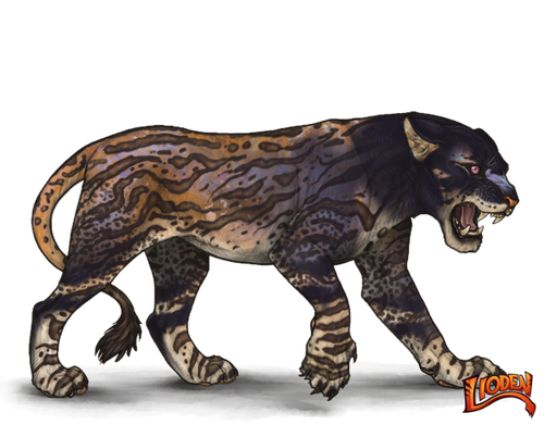 lioden wardrobe 2026 02 05T213000.940.png