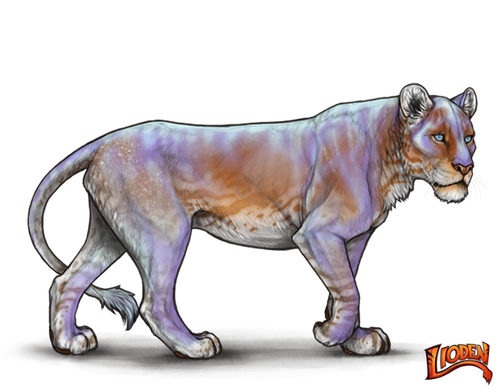 lioden wardrobe 2026 02 05T213047.362.png