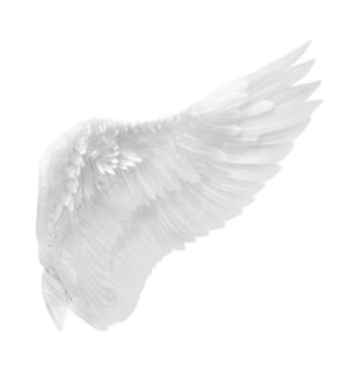 IMG 20260207 081336.png