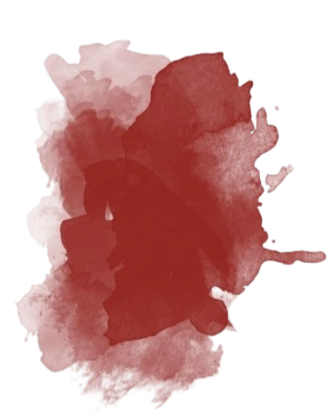 IMG 20260207 081054.png