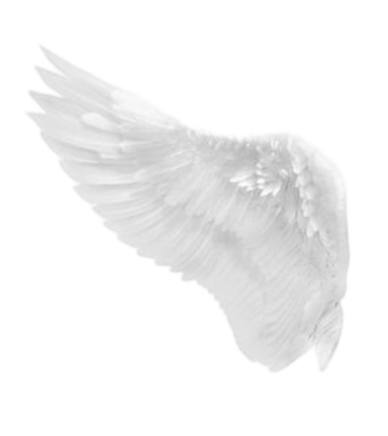 IMG 20260207 081342.png