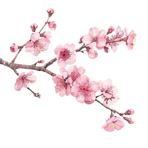 42160e8c3016f6ddbf98ff2ef9a0298d removebg preview.png