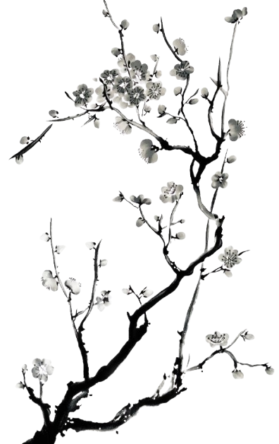 0e9da250894887c02a1f7440cc147f86 removebg preview.png