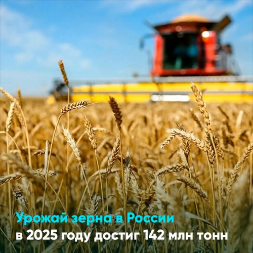 6n PcaP3kYc1FZch.jpg