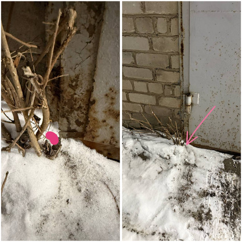 2BB0FEF6 B2F4 4B02 83A1 7EB257B303E4.jpg