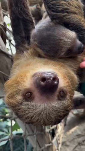 hdrPO2MLvj BRC0J.jpg