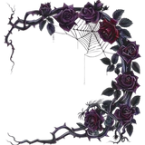 c16b8055699b1bdd91ef91123b05d79b (1).png