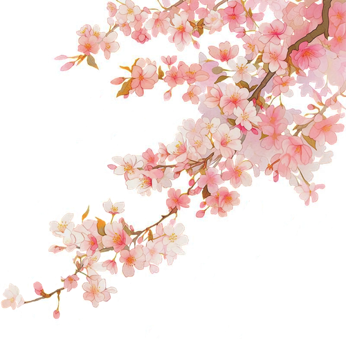 无标题11 20260206121753.png