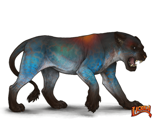 lioden wardrobe 2026 02 05T213243.355.png